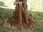 Tomahawk 02